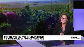 The ins and outs of champagne, France's iconic sparkling wine • FRANCE 24 English
