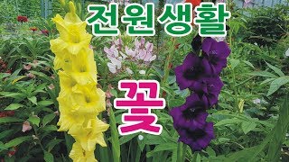 참사랑정원의 아름다운 꽃들의 잔치 beautiful flower