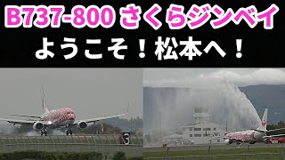 【B737-800  さくらジンベエ  ようこそ！松本へ！】