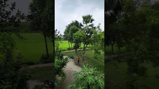 Lokkhon Saha Zamidar Bari, Narsingdi || Danga Zamidar Bari || লক্ষণ সাহার/ডাংগা জমিদার বাড়ি,নরসিংদী