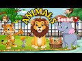 Cute Animals Singing | Nursery Rhymes for Kids | For Kids | PeeVee Kiddie | Super Simple Songs |