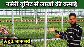 नर्सरी यूनिट से लाखो की कमाई । nursery farming in india