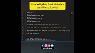 How to Update Post Metadata Programmatically?