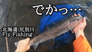 大物アメマスに出会った尻別川の釣り【 北海道 Flyfishing 】