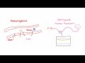 introduction to viral meningitis encephalitis and meningoencephalitis