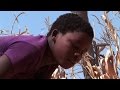 Zimbabwe declares 'state of disaster' over drought