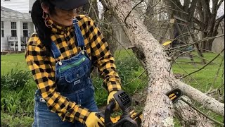 DeWalt 12” DCCS620 Cordless Chainsaw REVIEW Add this to your DeWalt Tool Collection!  Miss DeWalt