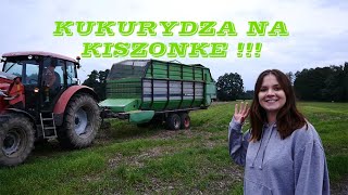 Kukurydza na kiszonkę // Wesoła Ekipa //🔥 U mnie się zapier*ala // OGLĄDAJ DO KOŃCA !!!