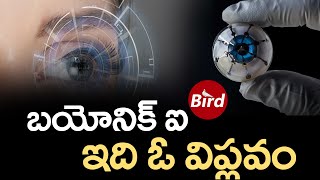 బయోనిక్ ఐ  ఇది ఓ విప్లవం | Bionic Eye is a revolution | Bird Media