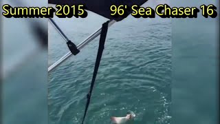 2015 : The first summer with my Arima Sea Chaser 16