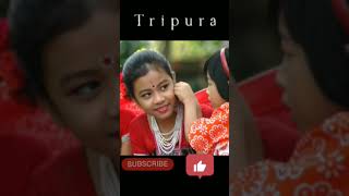 What is the state Tripura famous for | What are the important facts about Tripura