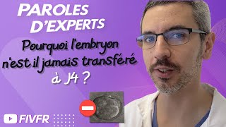 FIV : Pourquoi l'embryon n'est il jamais transféré à J4 ?