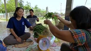 Ep 03รายการ คนหัวกะทิ: Kalasin Happiness Model จ.กาฬสินธุ์