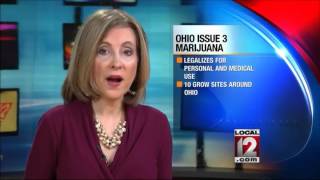 Issue 3: Ohio Marijuana Legalization Initiative