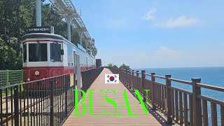 [Busan] Haeundae Blue Line Park X the Sky Eel Jagalchi Market