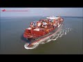 Shipping company from China to the United States (Part 1)