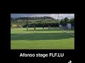 afonso stage flf.lu