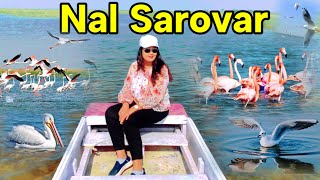 Nal Sarovar Bird Sanctuary Gujarat | Nal Sarovar