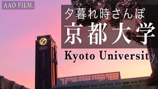 【京都大学】日本最高峰の国公立大学・夕暮れ時散歩　Walk through Japan's highest national public university [Kyoto University]