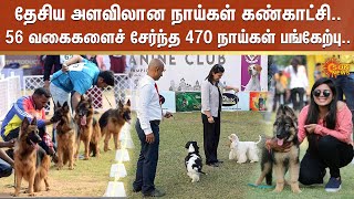 தேசிய அளவிலான நாய்கள் கண்காட்சி.. 56 வகைகளைச் சேர்ந்த 470 நாய்கள் பங்கேற்பு.. | Ooty | Sun News