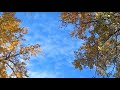 Calgary - Elbow River - Relaxing With My View Master - Oct 14th 2024