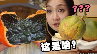 黃金甘蔗！ 咬一口爆汁！ 沒吃過的一定會後悔！ 瓜蔞到底是什麼？【小食神叨叨】