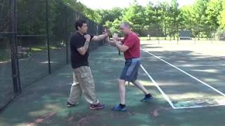 Lesson Five:  Basic Wing Chun Defenses