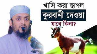 খাসি বা ছাগল দিয়ে কুরবানী হবে? আব্দুল হাই মুহাম্মাদ সাইফুল্লাহ | Abdul Hi Muhammad Saifullah