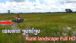 ទេសភាព ស្រុកស្រែ Rural landscape