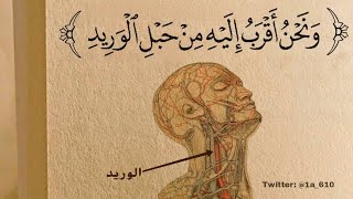 من المقصود من \