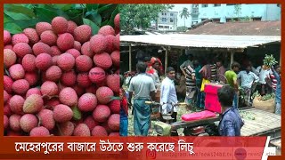 লিচু বাজারজাত করা নিয়ে ব্যস্ত সময় পার করছেন মেহেরপুরের বাগান মালিকরা 26May.21|| Meherpur lichi