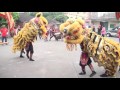 雲林莿桐新莊雲天宮進香第一集 趙子龍公 05 5 1