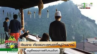 เชียงราย เที่ยวชมทะเลหมอกที่หมู่บ้านผาหมี | 09-01-61 | ตะลอนข่าวเช้านี้