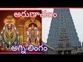 Sri Arunachaleswara Swami Vari Agni Lingam||Arunachalam||Mukul Mourya World Vlog