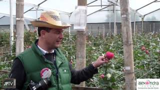 JFTV presents A Tour of Alexandra Farms