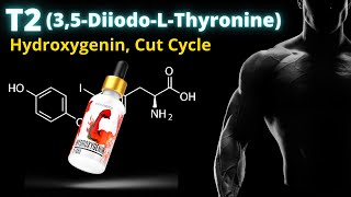 *Rare* Fat-Burning Hormone (T2)