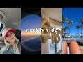 WEEKLY Vlog: traveling, GENDER REVEAL, family, cold plunge