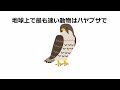 【雑学】9割の人が知らない面白い雑学 19