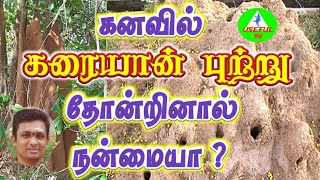 கனவில் கரையான் புற்று தோன்றினால் நன்மையா? Dream in Tamil.....