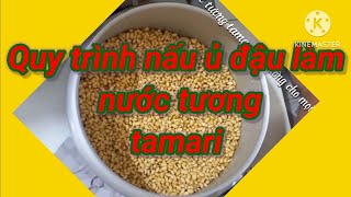 QUY TRÌNH CÁCH LÀM NƯỚC TƯƠNG TAMARI                                      (Quy trình 3)