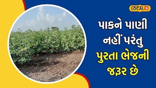 Farming | વધુ ઉત્પાદન માટે વધુ પાણીની જરૂર નથી! આવી રીતે પાકને આપો પાણી | #local18