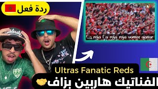 ردة فعل مغاربة على  🇩🇿❤️🇲🇦 Ultras Fanatic Reds : All in [ Live ]