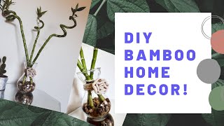 DIY Bamboo Home Decor | SO CUTE | SLEEPEATANDPLANT