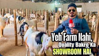 Yeh Farm Nahi, Malwa/Kota Bakro Ka Showroom Hai | Bin Waheed Farms Bhopal