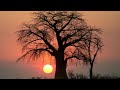 africa sunrises 528 hz calming music for study or work