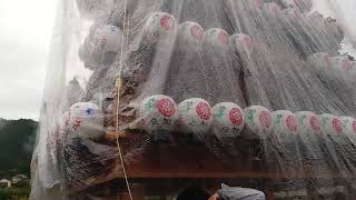 西条祭り2023 橘新宮神社祭