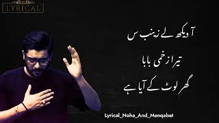 Aa dekh le Zainab sa lyrics | 19 Ramzan | Mir Hassan Mir Noha