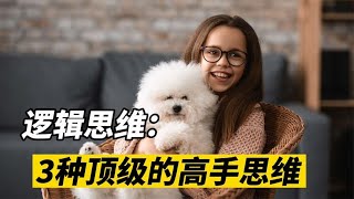 逻辑思维 个人成长3个经典的思维模型，高手必备的思考方式