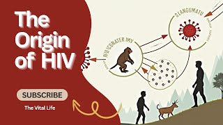 Where Did HIV Come From? | The True Origins of a Global Virus