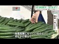 野菜価格高騰の中で最大3割値下げの特別セール　でもキャベツだけは…（abnステーション　2025.01.17）